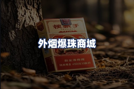 外烟爆珠商城
